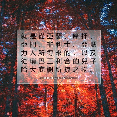 Picture 07 - 撒 母 耳 記 下 8:12 CUVT - 就 是 從 亞 蘭 、 摩 押 、 亞 捫 、 - Bible Verse Picture