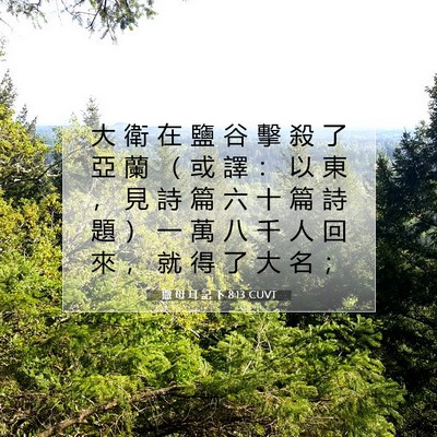 Picture 07 - 撒 母 耳 記 下 8:13 CUVT - 大 衛 在 鹽 谷 擊 殺 了 亞 蘭 （ 或 - Bible Verse Picture