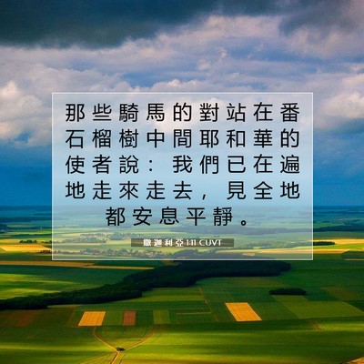 Picture 07 - 撒 迦 利 亞 1:11 CUVT - 那 些 騎 馬 的 對 站 在 番 石 榴 樹 - Bible Verse Picture