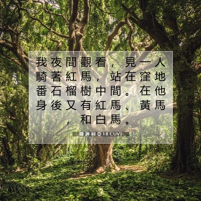 Picture 07 - 撒 迦 利 亞 1:8 CUVT - 我 夜 間 觀 看 ， 見 一 人 騎 著 紅 - Bible Verse Picture