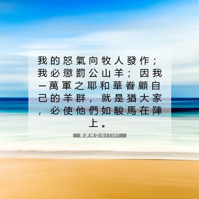 Picture 07 - 撒 迦 利 亞 10:3 CUVT - 我 的 怒 氣 向 牧 人 發 作 ； 我 必 - Bible Verse Picture