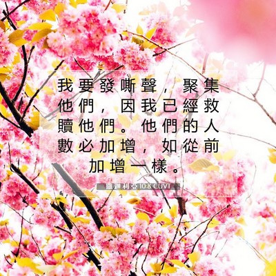 Picture 07 - 撒 迦 利 亞 10:8 CUVT - 我 要 發 嘶 聲 ， 聚 集 他 們 ， 因 - Bible Verse Picture