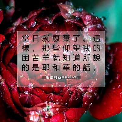 Picture 07 - 撒 迦 利 亞 11:11 CUVT - 當 日 就 廢 棄 了 。 這 樣 ， 那 些 - Bible Verse Picture