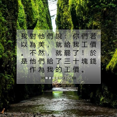 Picture 07 - 撒 迦 利 亞 11:12 CUVT - 我 對 他 們 說 ： 你 們 若 以 為 美 - Bible Verse Picture