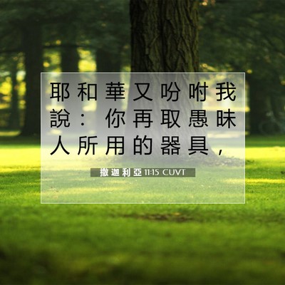 Picture 07 - 撒 迦 利 亞 11:15 CUVT - 耶 和 華 又 吩 咐 我 說 ： 你 再 取 - Bible Verse Picture