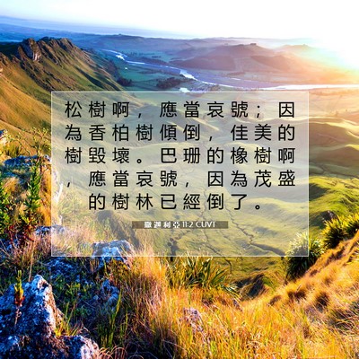 Picture 07 - 撒 迦 利 亞 11:2 CUVT - 松 樹 啊 ， 應 當 哀 號 ； 因 為 香 - Bible Verse Picture