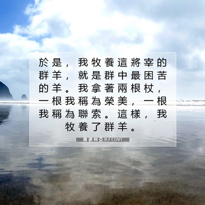 Picture 07 - 撒 迦 利 亞 11:7 CUVT - 於 是 ， 我 牧 養 這 將 宰 的 群 羊 - Bible Verse Picture