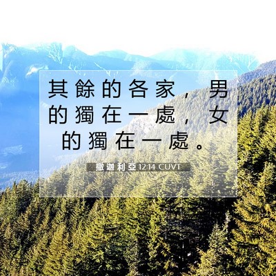 Picture 07 - 撒 迦 利 亞 12:14 CUVT - 其 餘 的 各 家 ， 男 的 獨 在 一 處 - Bible Verse Picture