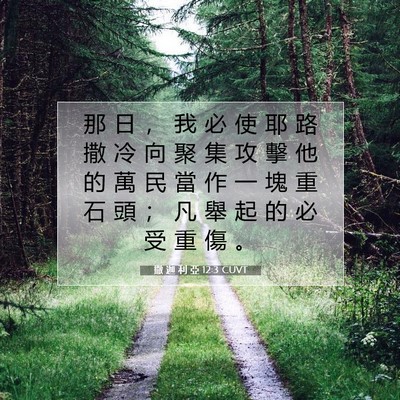 Picture 07 - 撒 迦 利 亞 12:3 CUVT - 那 日 ， 我 必 使 耶 路 撒 冷 向 聚 - Bible Verse Picture