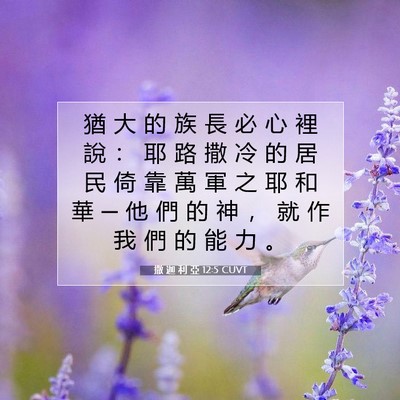 Picture 07 - 撒 迦 利 亞 12:5 CUVT - 猶 大 的 族 長 必 心 裡 說 ： 耶 路 - Bible Verse Picture