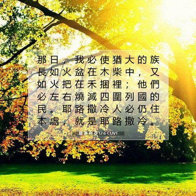 Picture 07 - 撒 迦 利 亞 12:6 CUVT - 那 日 ， 我 必 使 猶 大 的 族 長 如 - Bible Verse Picture