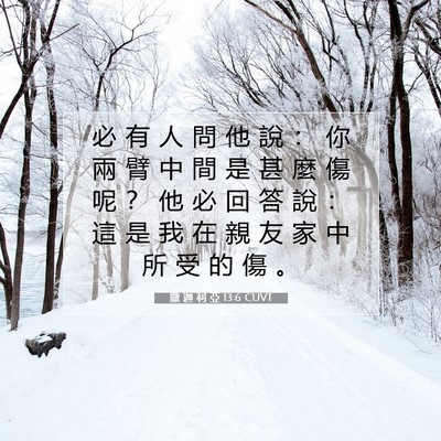 Picture 07 - 撒 迦 利 亞 13:6 CUVT - 必 有 人 問 他 說 ： 你 兩 臂 中 間 - Bible Verse Picture
