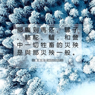 Picture 07 - 撒 迦 利 亞 14:15 CUVT - 那 臨 到 馬 匹 、 騾 子 、 駱 駝 、 - Bible Verse Picture