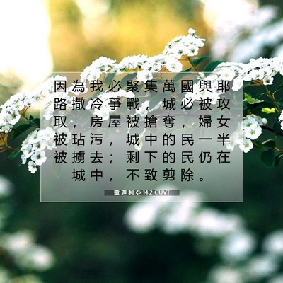 Picture 07 - 撒 迦 利 亞 14:2 CUVT - 因 為 我 必 聚 集 萬 國 與 耶 路 撒 - Bible Verse Picture