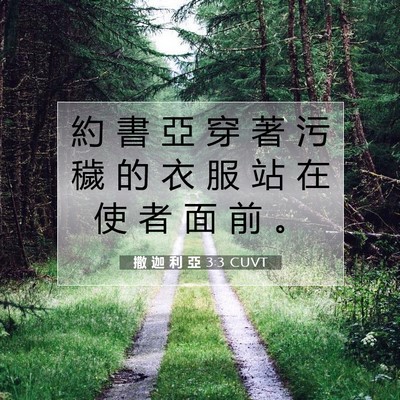 Picture 07 - 撒 迦 利 亞 3:3 CUVT - 約 書 亞 穿 著 污 穢 的 衣 服 站 在 - Bible Verse Picture