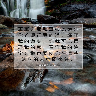 Picture 07 - 撒 迦 利 亞 3:7 CUVT - 萬 軍 之 耶 和 華 如 此 說 ： 你 若 - Bible Verse Picture