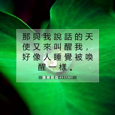 Picture 07 - 撒 迦 利 亞 4:1 CUVT - 那 與 我 說 話 的 天 使 又 來 叫 醒 - Bible Verse Picture