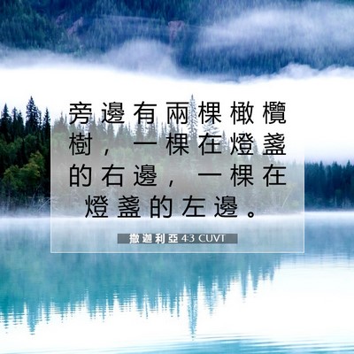 Picture 07 - 撒 迦 利 亞 4:3 CUVT - 旁 邊 有 兩 棵 橄 欖 樹 ， 一 棵 在 - Bible Verse Picture