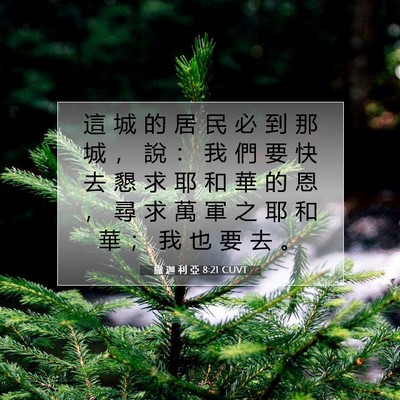 Picture 07 - 撒 迦 利 亞 8:21 CUVT - 這 城 的 居 民 必 到 那 城 ， 說 ： - Bible Verse Picture