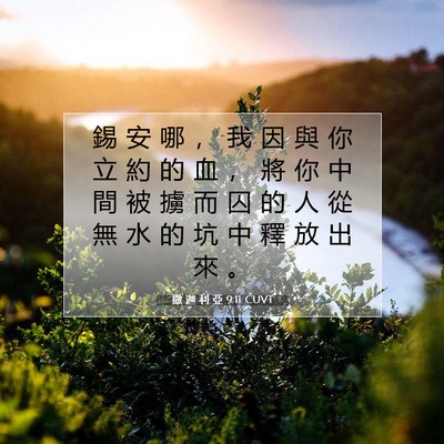 Picture 07 - 撒 迦 利 亞 9:11 CUVT - 錫 安 哪 ， 我 因 與 你 立 約 的 血 - Bible Verse Picture
