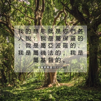 Picture 07 - 歌 林 多 前 書 1:12 CUVT - 我 的 意 思 就 是 你 們 各 人 說 ： - Bible Verse Picture