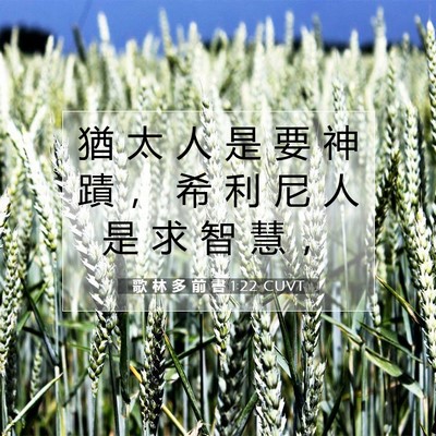 Picture 07 - 歌 林 多 前 書 1:22 CUVT - 猶 太 人 是 要 神 蹟 ， 希 利 尼 人 - Bible Verse Picture