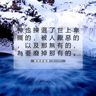 Picture 07 - 歌 林 多 前 書 1:28 CUVT - 神 也 揀 選 了 世 上 卑 賤 的 ， 被 - Bible Verse Picture