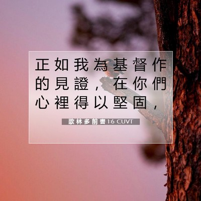 Picture 07 - 歌 林 多 前 書 1:6 CUVT - 正 如 我 為 基 督 作 的 見 證 ， 在 - Bible Verse Picture