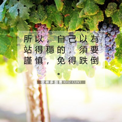 Picture 07 - 歌 林 多 前 書 10:12 CUVT - 所 以 ， 自 己 以 為 站 得 穩 的 ， - Bible Verse Picture