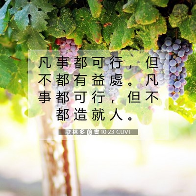 Picture 07 - 歌 林 多 前 書 10:23 CUVT - 凡 事 都 可 行 ， 但 不 都 有 益 處 - Bible Verse Picture