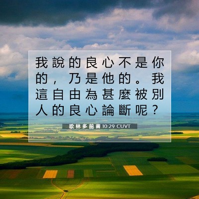 Picture 07 - 歌 林 多 前 書 10:29 CUVT - 我 說 的 良 心 不 是 你 的 ， 乃 是 - Bible Verse Picture
