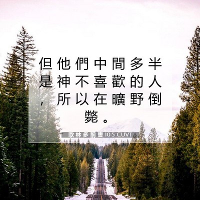 Picture 07 - 歌 林 多 前 書 10:5 CUVT - 但 他 們 中 間 多 半 是 神 不 喜 歡 - Bible Verse Picture