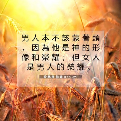 Picture 07 - 歌 林 多 前 書 11:7 CUVT - 男 人 本 不 該 蒙 著 頭 ， 因 為 他 - Bible Verse Picture