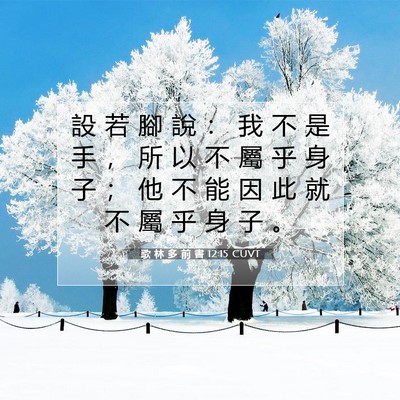 Picture 07 - 歌 林 多 前 書 12:15 CUVT - 設 若 腳 說 ： 我 不 是 手 ， 所 以 - Bible Verse Picture
