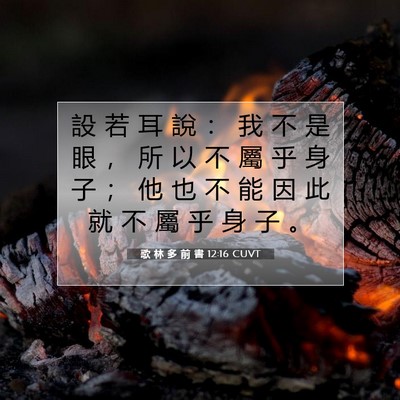 Picture 07 - 歌 林 多 前 書 12:16 CUVT - 設 若 耳 說 ： 我 不 是 眼 ， 所 以 - Bible Verse Picture