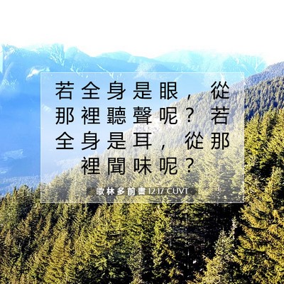 Picture 07 - 歌 林 多 前 書 12:17 CUVT - 若 全 身 是 眼 ， 從 那 裡 聽 聲 呢 - Bible Verse Picture