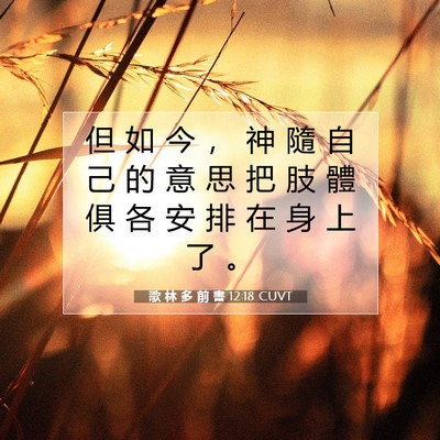 Picture 07 - 歌 林 多 前 書 12:18 CUVT - 但 如 今 ， 神 隨 自 己 的 意 思 把 - Bible Verse Picture