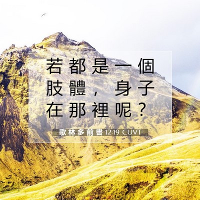 Picture 07 - 歌 林 多 前 書 12:19 CUVT - 若 都 是 一 個 肢 體 ， 身 子 在 那 - Bible Verse Picture
