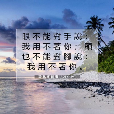 Picture 07 - 歌 林 多 前 書 12:21 CUVT - 眼 不 能 對 手 說 ： 我 用 不 著 你 - Bible Verse Picture