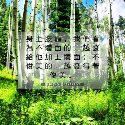 Picture 07 - 歌 林 多 前 書 12:23 CUVT - 身 上 肢 體 ， 我 們 看 為 不 體 面 - Bible Verse Picture