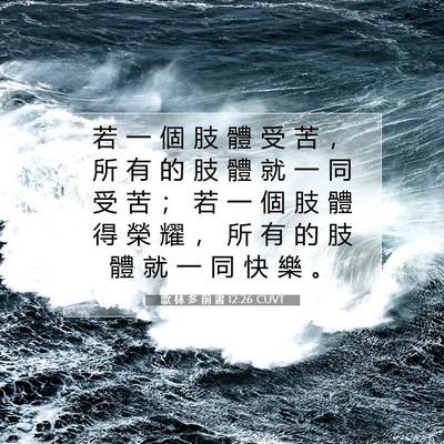 Picture 07 - 歌 林 多 前 書 12:26 CUVT - 若 一 個 肢 體 受 苦 ， 所 有 的 肢 - Bible Verse Picture
