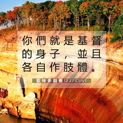 Picture 07 - 歌 林 多 前 書 12:27 CUVT - 你 們 就 是 基 督 的 身 子 ， 並 且 - Bible Verse Picture