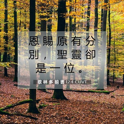 Picture 07 - 歌 林 多 前 書 12:4 CUVT - 恩 賜 原 有 分 別 ， 聖 靈 卻 是 一 - Bible Verse Picture