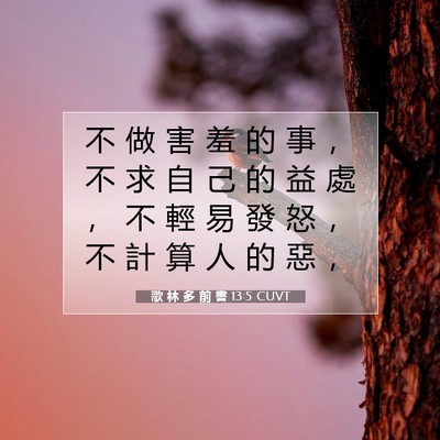 Picture 07 - 歌 林 多 前 書 13:5 CUVT - 不 做 害 羞 的 事 ， 不 求 自 己 的 - Bible Verse Picture