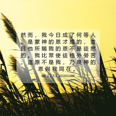 Picture 07 - 歌 林 多 前 書 15:10 CUVT - 然 而 ， 我 今 日 成 了 何 等 人 ， - Bible Verse Picture