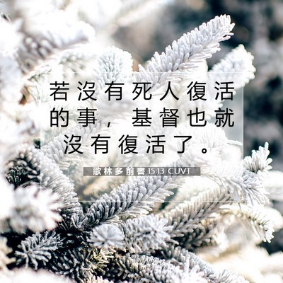 Picture 07 - 歌 林 多 前 書 15:13 CUVT - 若 沒 有 死 人 復 活 的 事 ， 基 督 - Bible Verse Picture