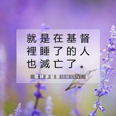 Picture 07 - 歌 林 多 前 書 15:18 CUVT - 就 是 在 基 督 裡 睡 了 的 人 也 滅 - Bible Verse Picture