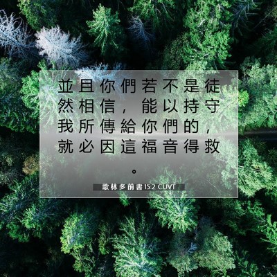 Picture 07 - 歌 林 多 前 書 15:2 CUVT - 並 且 你 們 若 不 是 徒 然 相 信 ， - Bible Verse Picture