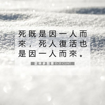 Picture 07 - 歌 林 多 前 書 15:21 CUVT - 死 既 是 因 一 人 而 來 ， 死 人 復 - Bible Verse Picture