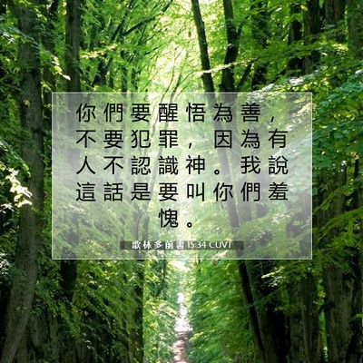 Picture 07 - 歌 林 多 前 書 15:34 CUVT - 你 們 要 醒 悟 為 善 ， 不 要 犯 罪 - Bible Verse Picture